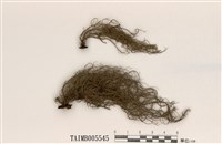 藏品(廣生松蘿)的圖片